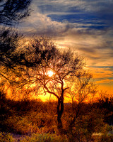 Landscapes - US - 015