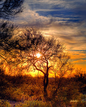 Landscapes - US - 015