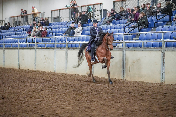 Spring Fling - Saturday - April 20, 2019  -  04475