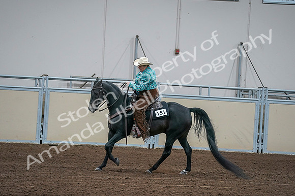 2020 - AB Morgan Horse - Fri, Sept 04 - 00628