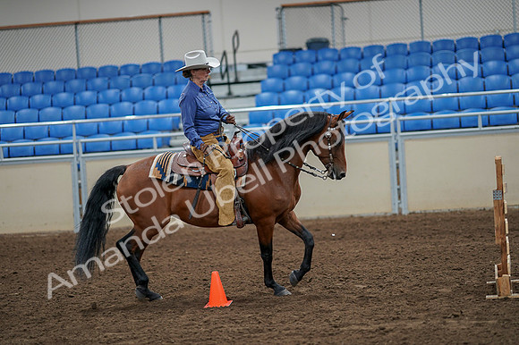 2020 - AB Morgan Horse - Fri, Sept 04 - 00285