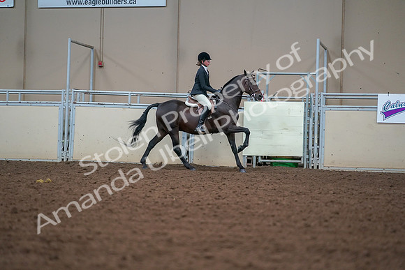 2019 Morgan Horse Show - Aug 30, 2019 - 21080