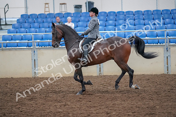 2019 Morgan Horse Show - Aug 30, 2019 - 20626
