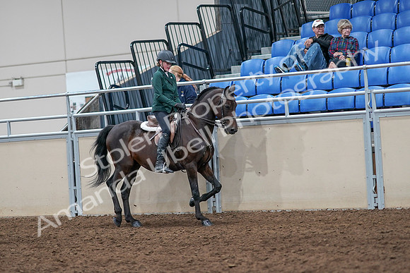 2020 - AB Morgan Horse - Sat, Sept 05 - 05141