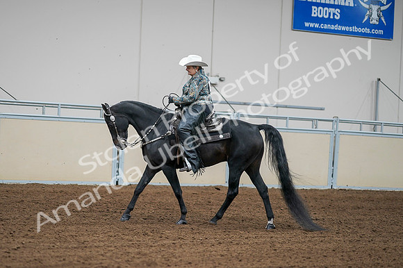 2020 - AB Morgan Horse - Fri, Sept 04 - 03604