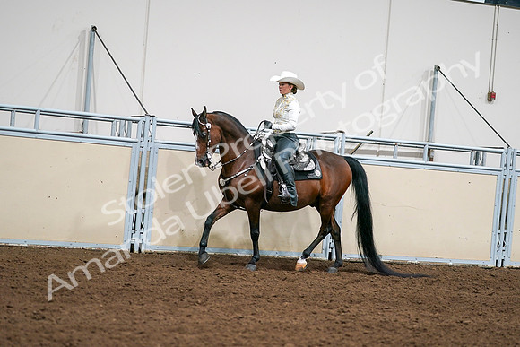 2020 - AB Morgan Horse - Sat, Sept 05 - 08918