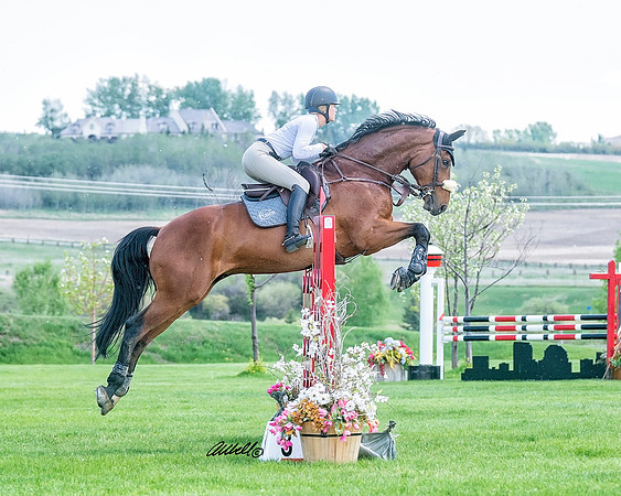 BVCI - May 25 - Grand Prix Amanda - 00266