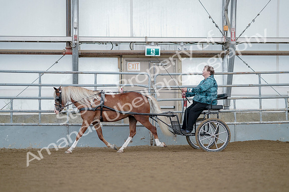 July 21, 2019 - 06824