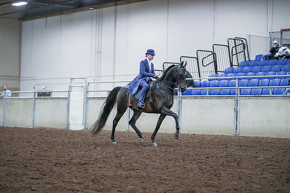 Spring Fling - Saturday - April 20, 2019  -  00773