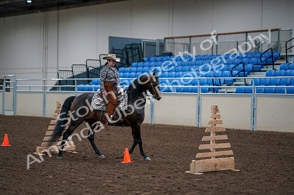 2020 - AB Morgan Horse - Fri, Sept 04 - 00385