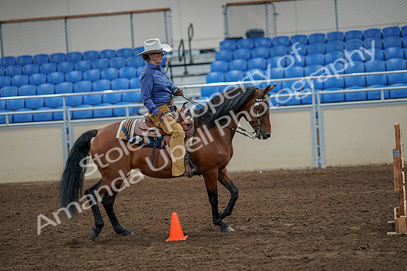2020 - AB Morgan Horse - Fri, Sept 04 - 00284
