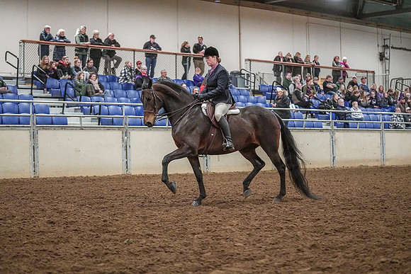 Spring Fling - Saturday - April 20, 2019  -  04529