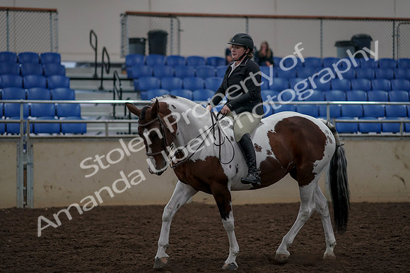 2019 Morgan Horse Show - Aug 30, 2019 - 31203