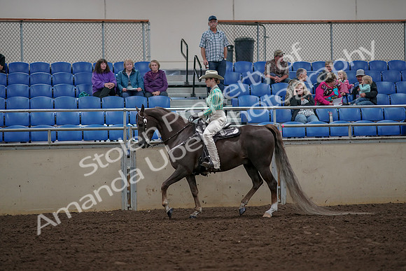 2019 Morgan Horse Show - Aug 30, 2019 - 25944