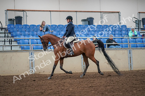 2019 Morgan Horse Show - Aug 30, 2019 - 16089
