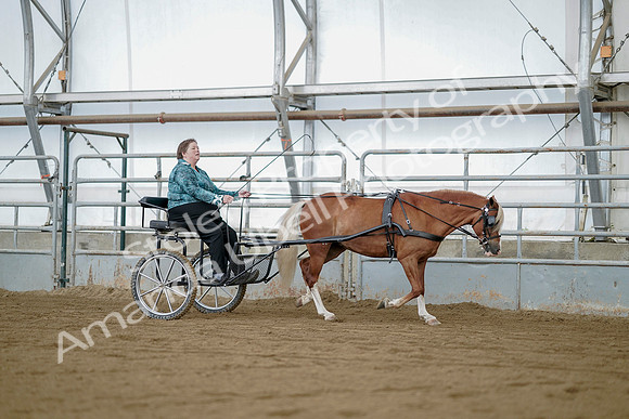 July 21, 2019 - 05994