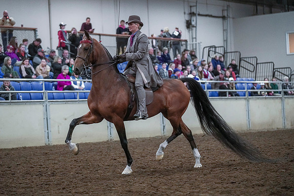 Spring Fling - Saturday - April 20, 2019  -  00443