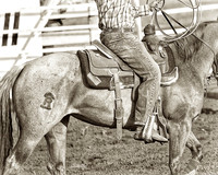 rodeo - 047