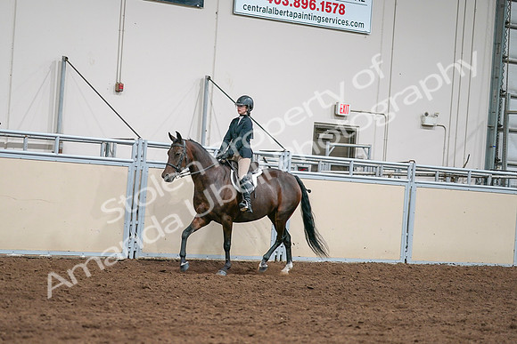 2020 - AB Morgan Horse - Sat, Sept 05 - 04958