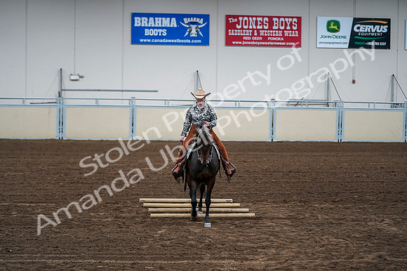 2020 - AB Morgan Horse - Fri, Sept 04 - 00440
