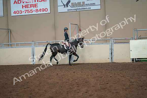 2019 Morgan Horse Show - Aug 30, 2019 - 12348