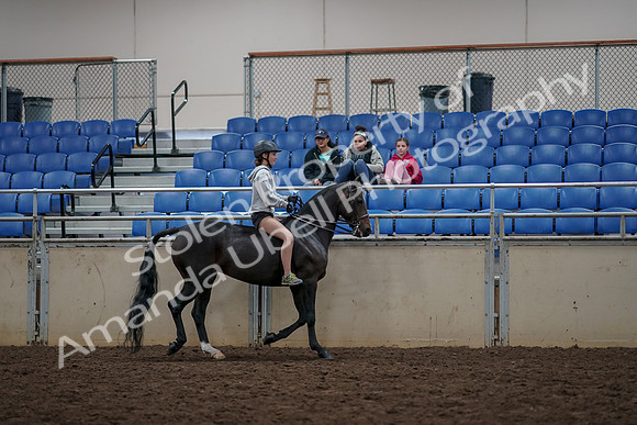 2019 Morgan Horse Show - Aug 30, 2019 - 31395