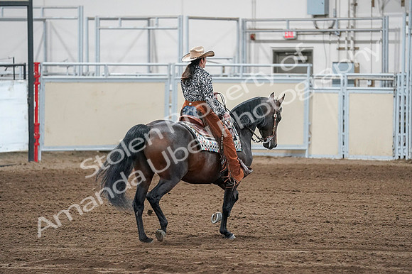 2020 - AB Morgan Horse - Fri, Sept 04 - 00445