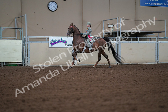 2019 Morgan Horse Show - Aug 30, 2019 - 18217