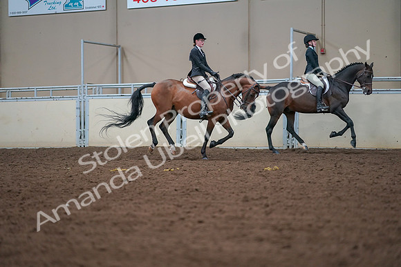 2019 Morgan Horse Show - Aug 30, 2019 - 20993