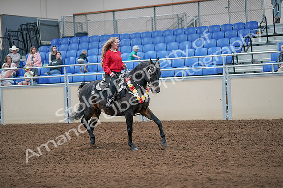 2020 - AB Morgan Horse - Sat, Sept 05 - 10511