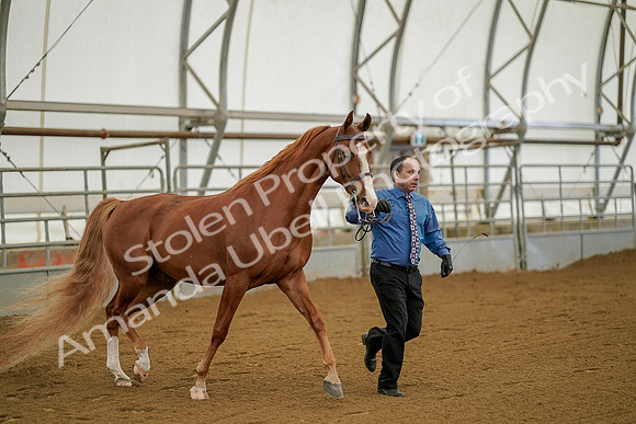 July 19, 2019 - 892