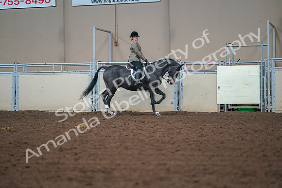2019 Morgan Horse Show - Aug 30, 2019 - 20715