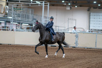 2020 - AB Morgan Horse - Fri, Sept 04 - 06971