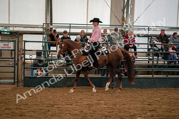 July 19, 2019 - 10035