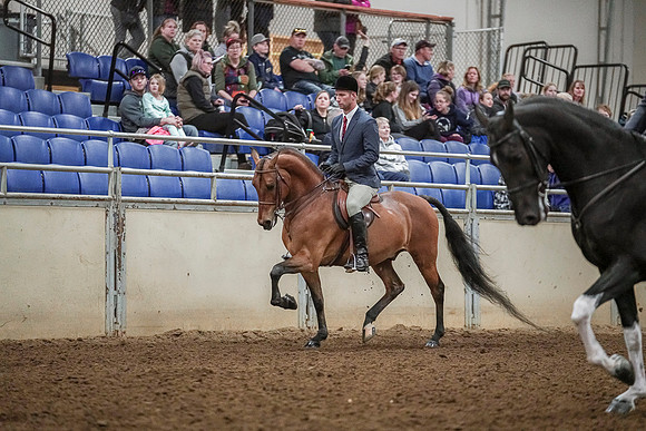 Spring Fling - Saturday - April 20, 2019  -  04560