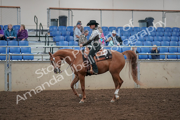2019 Morgan Horse Show - Aug 30, 2019 - 26102