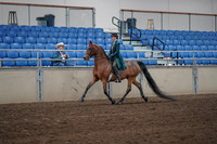 2019 Morgan Horse Show - Sept 01, 2019 - 13164
