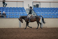 2019 Morgan Horse Show - Aug 31, 2019 - 06319