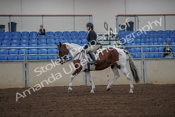 2019 Morgan Horse Show - Aug 30, 2019 - 14931