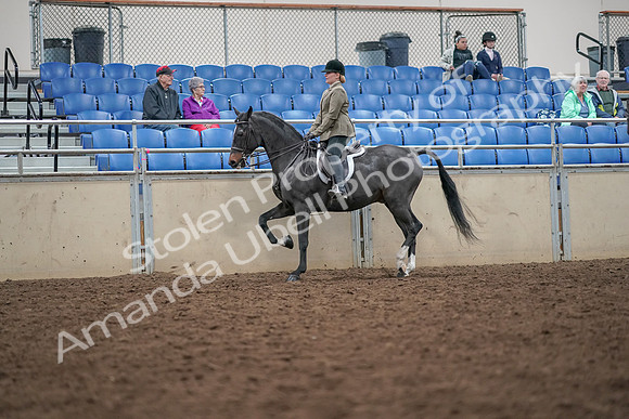 2019 Morgan Horse Show - Aug 30, 2019 - 20049