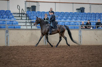 2019 Morgan Horse Show - Aug 30, 2019 - 15293