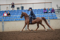 2019 Morgan Horse Show - Aug 30, 2019 - 26778