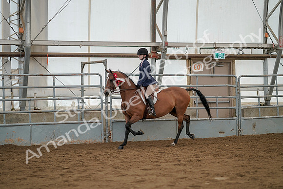 July 20, 2019 - 03500