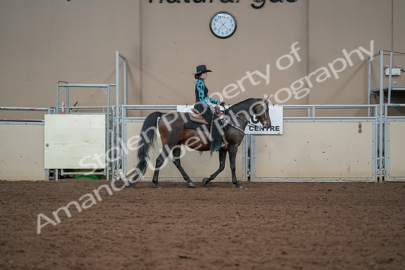 2019 Morgan Horse Show - Aug 30, 2019 - 26131