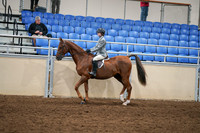 2020 - AB Morgan Horse - Fri, Sept 04 - 02962
