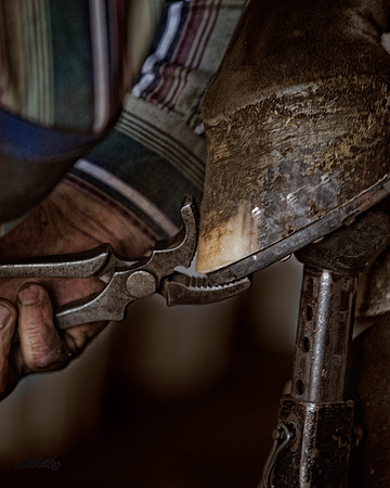 Farrier - 046
