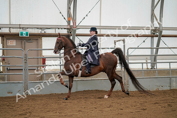 July 20, 2019 - 02238