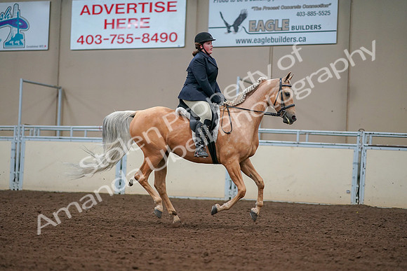 2019 Morgan Horse Show - Aug 30, 2019 - 16427