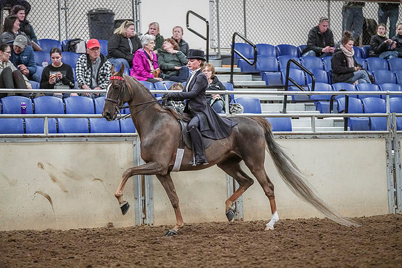 Spring Fling - Saturday - April 20, 2019  -  04132
