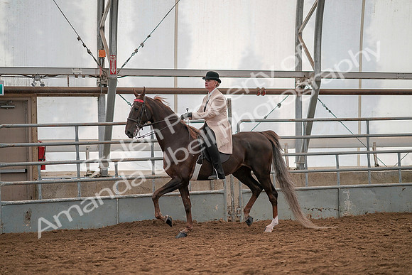 July 19, 2019 - 12833